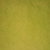 Zuckerrohrpapier_Rückseite_grün
